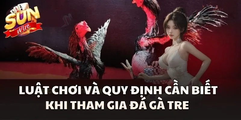 Luật chơi và quy định cần biết khi tham gia Đá Gà Tre