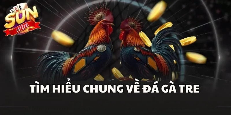 Tìm hiểu chung về Đá Gà Tre